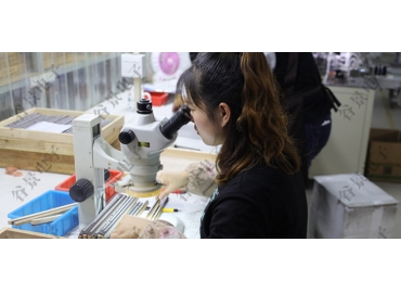 貼片共模電感方向如何區(qū)分你知道嗎？